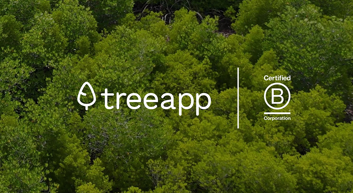 Treeapp’s B Impact score rises 22.5% to 123.8: What it means in the B Corp context
