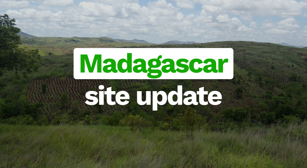 Merging our Madagascar projects: A clearer way to track your impact