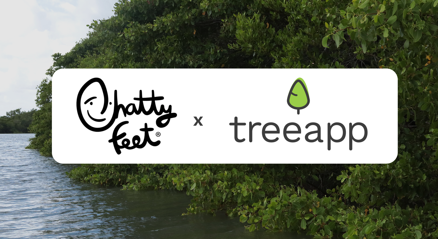 ChattyFeet has turned Black Friday green with Treeapp