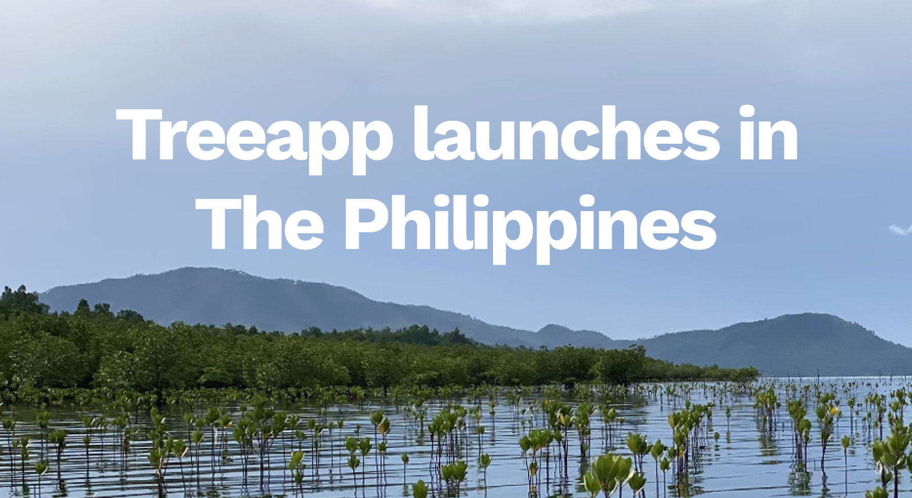 Treeapp launches in The Philippines: mangroves, islands, and a mission for a greener future